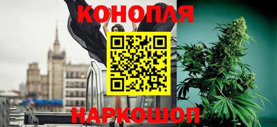 мяу мяу мука Беслан