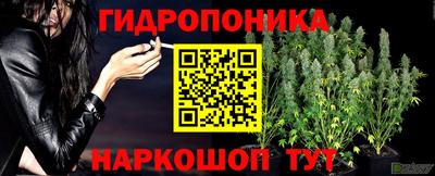 мяу мяу мука Гусиноозёрск
