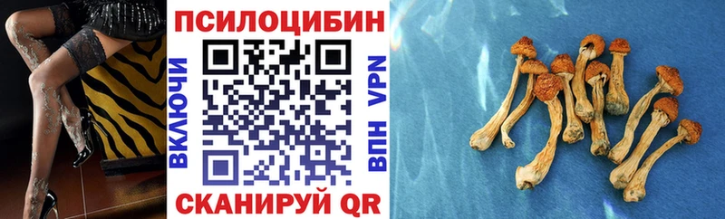 Псилоцибиновые грибы Magic Shrooms  Заволжье 