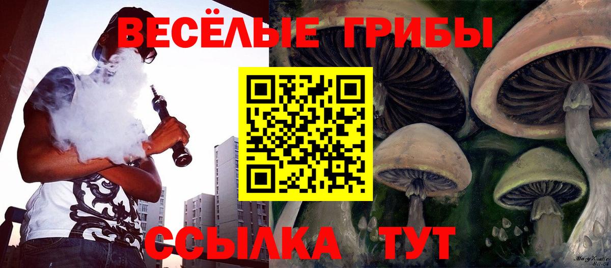 Галлюциногенные грибы прущие грибы  Заволжье 