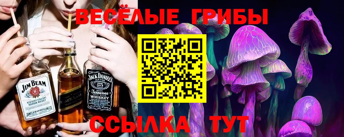 Галлюциногенные грибы Psilocybe Заволжье