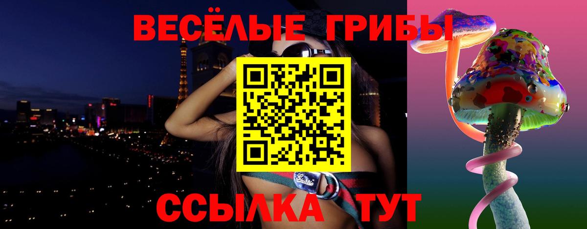 Заволжье  Галлюциногенные грибы прущие грибы  Вход с VPN 