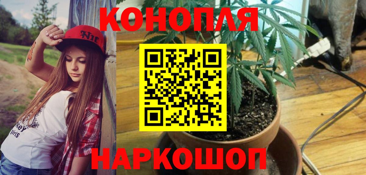 Заволжье  Шишки марихуана семена  Вход с VPN  Шишки марихуана семена  Бошки марихуана марихуана 